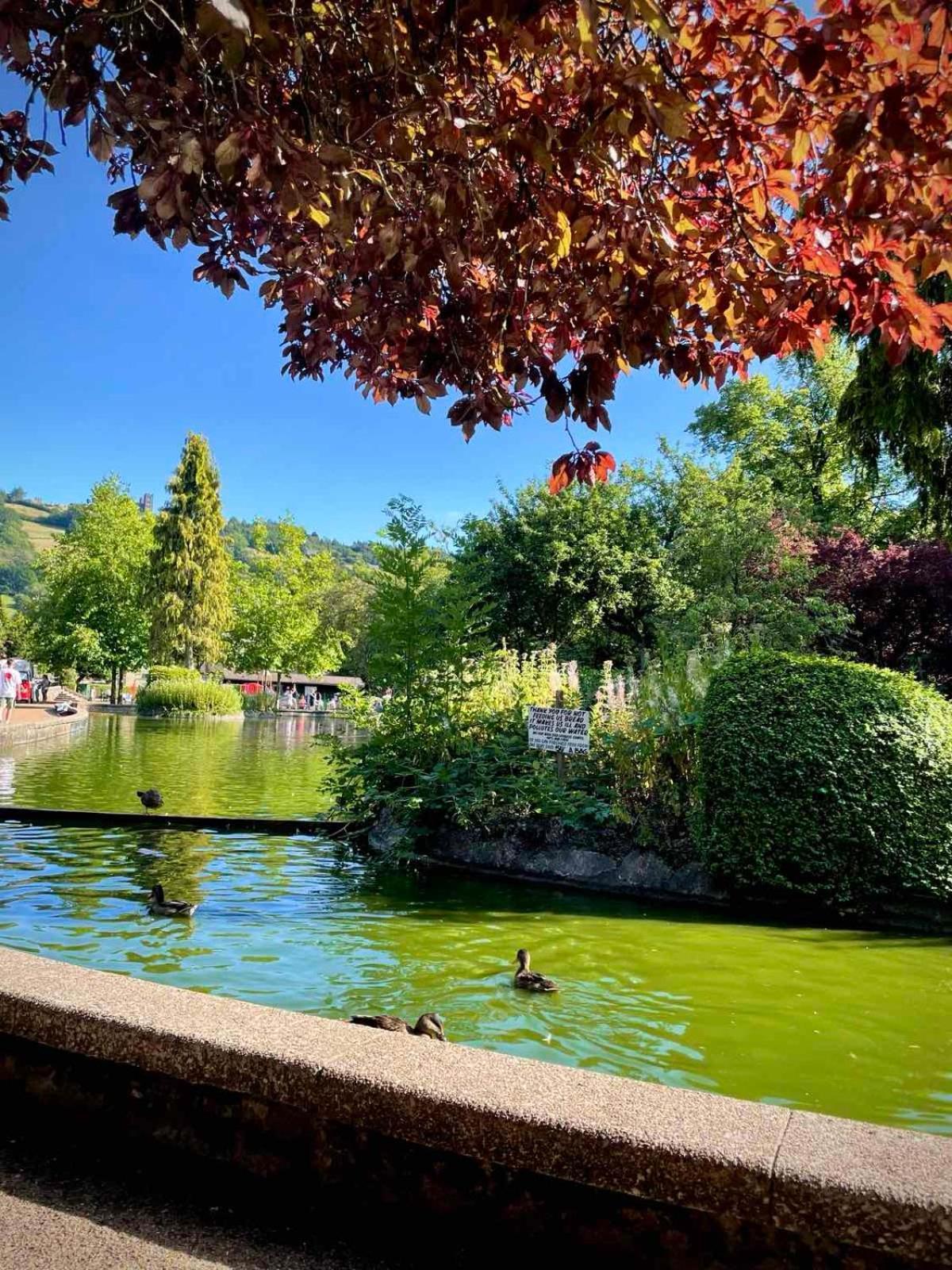 Top Floor 1Br Apartment Central Matlock Matlock  Esterno foto